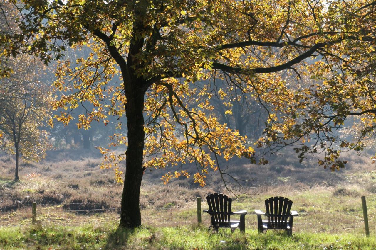 Inn The Woods - Private Stay Overberg Zewnętrze zdjęcie